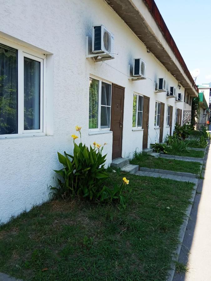 Mini-Hotel Abazgaa ガグラ エクステリア 写真